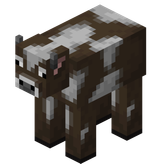 Vaca
